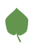 chinesepaulownia logo