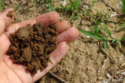 Physical Properties Of The Soil