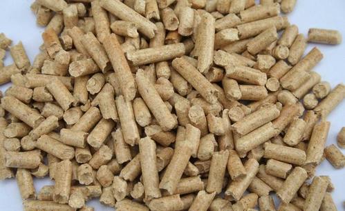 biomass energy