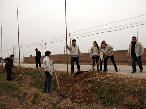 Selecting strong seedlings with tall trunk for afforestation