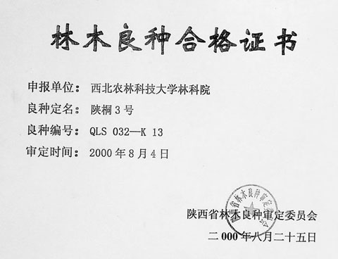 No.3 Shan Tong Qualification Certificate