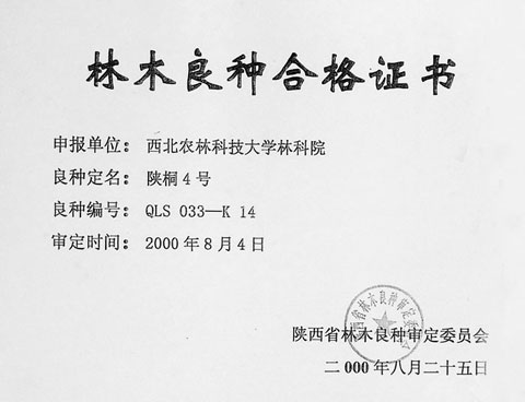 No.4 Shan Tong Qualification Certificate